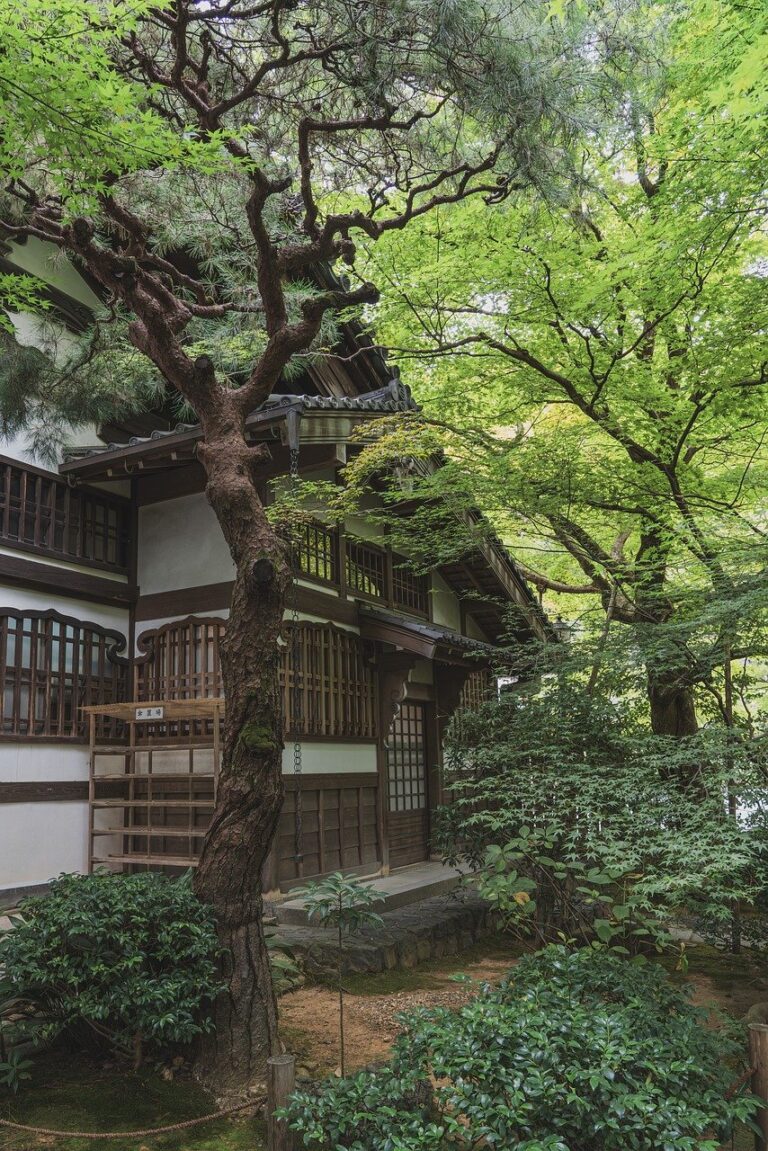 maison style japonaise dans la forêt